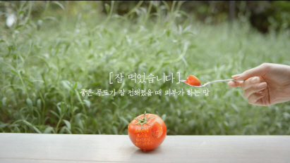 스킨푸드 이미지