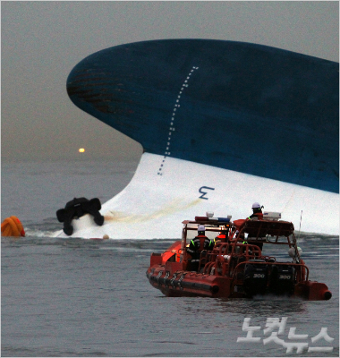 대원청과 이미지