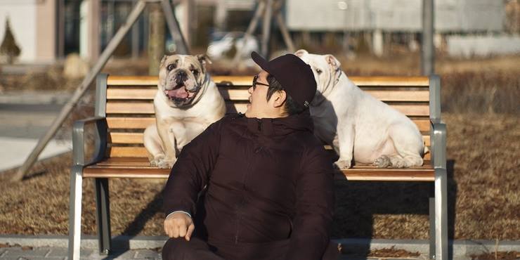 펫토그래퍼 이미지