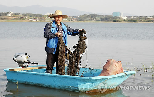 잠홍 이미지