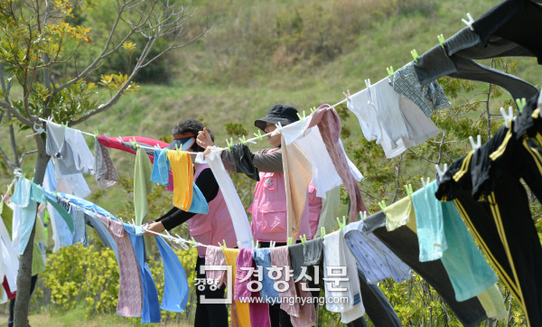 진도세탁 이미지