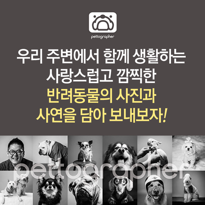 펫토그래퍼 이미지