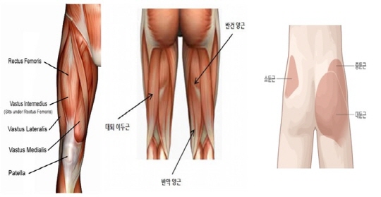 몬스터짐 이미지