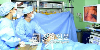 박당화랑 이미지