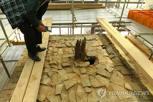 나무와벽돌 이미지