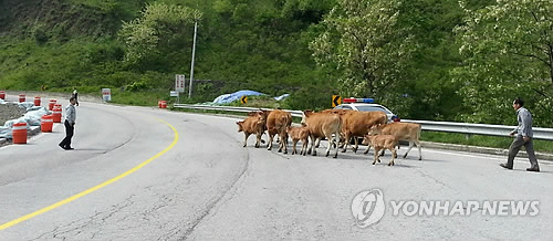 외양간 이미지