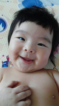 고란 이미지