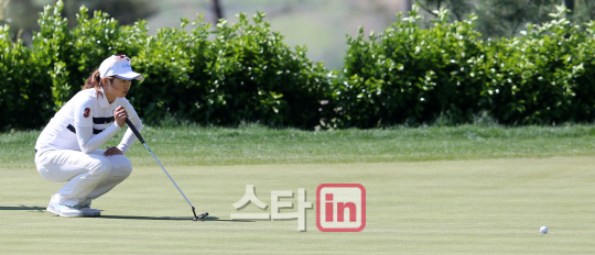 라운딩 이미지