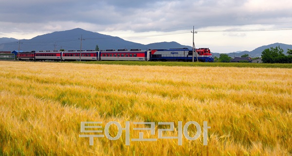 내맘대로여행 이미지
