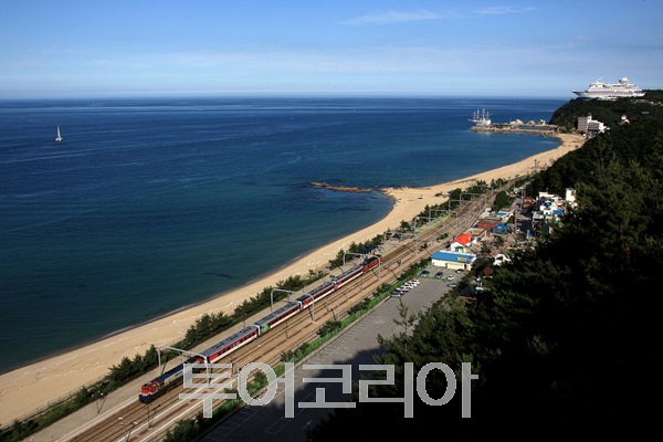 내맘대로여행 이미지