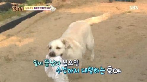 호야농장 이미지