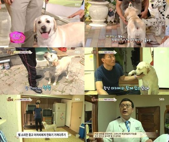 호야스튜디오 이미지