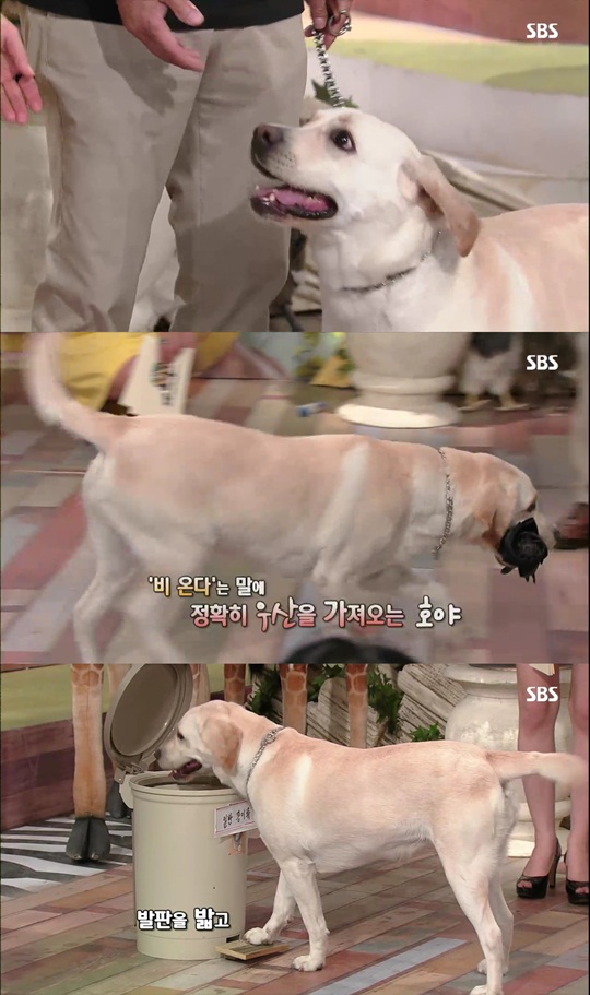 호야농장 이미지