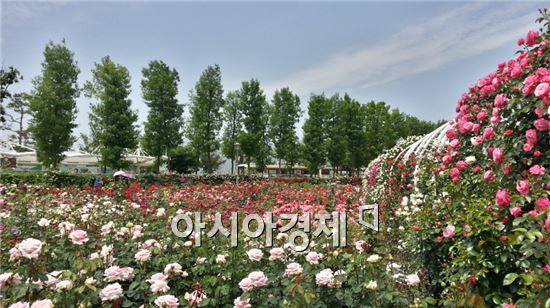 대박마을 이미지