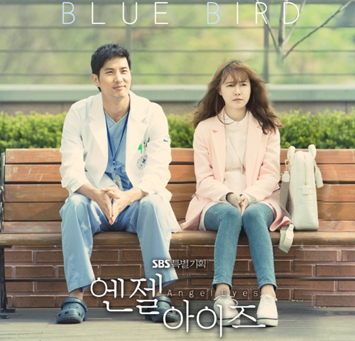 블루버드(Blue bird) 이미지