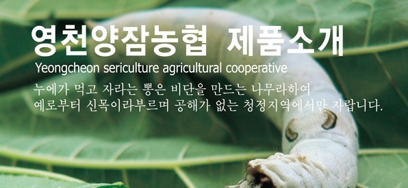 영천양잠협동조합 이미지