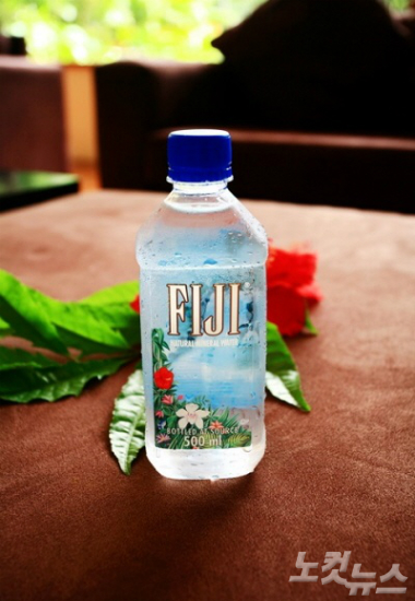 피지참치 이미지