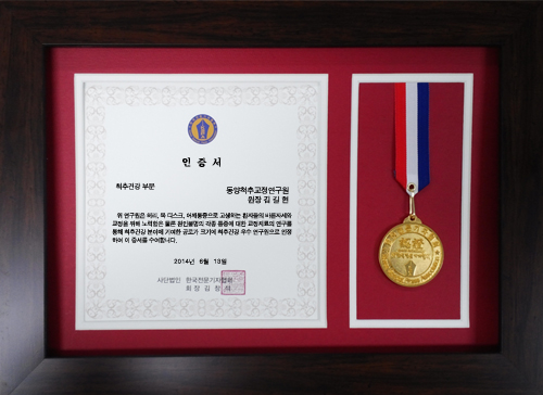 동양척추교정원 이미지