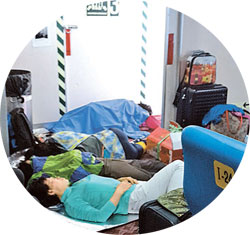 제주890 이미지