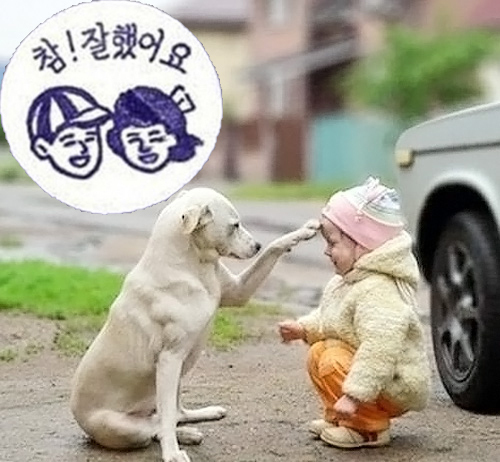 칭찬 이미지