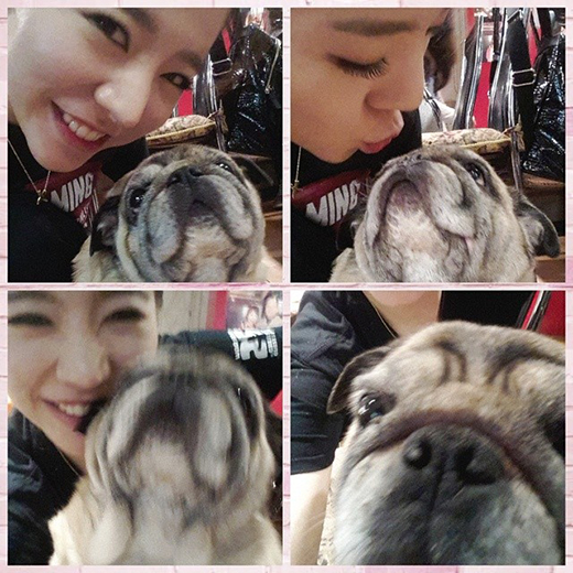 써니문구 이미지