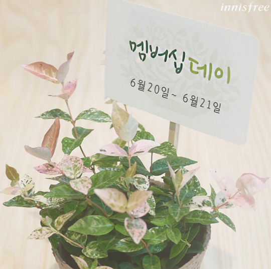 이마트이니스프리 이미지