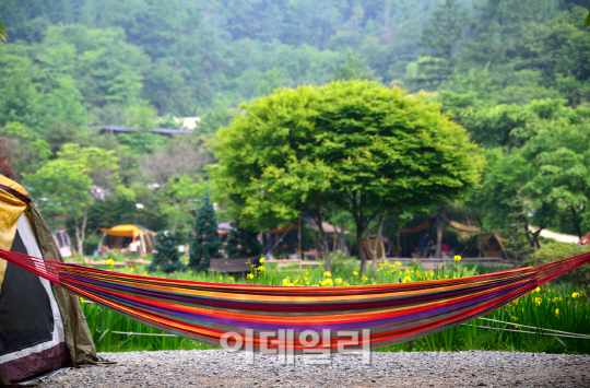 우리고향 캠핑장 이미지