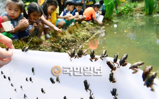 강서방사 이미지