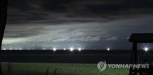 경포배오징어 이미지