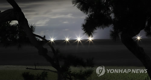경포배오징어 이미지