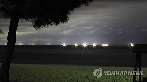 경포배오징어 이미지