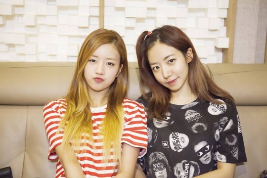 비엔엔(BNN) 이미지