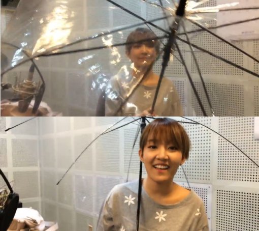 우산속라이브 이미지