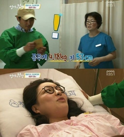 땡글이 이미지