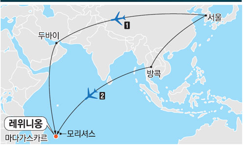 원시림 이미지