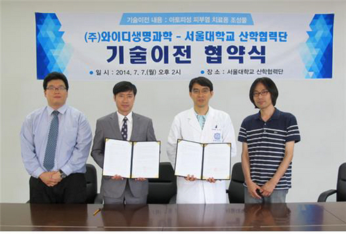 와이디 이미지