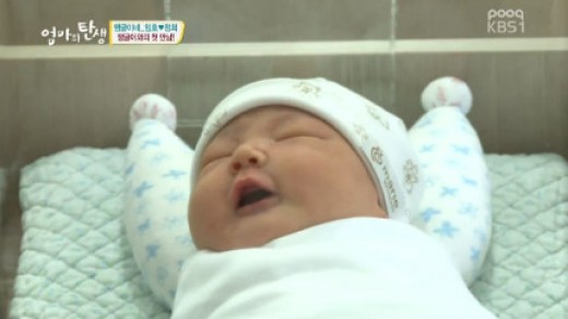 땡글이 이미지