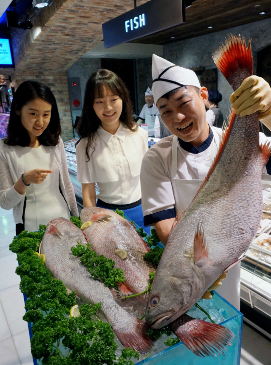 현대포토 이미지