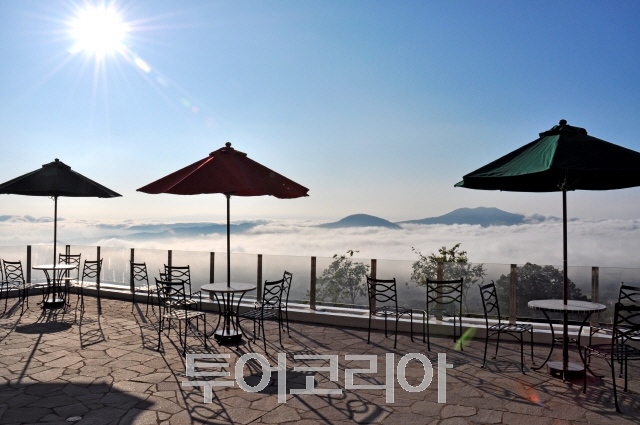구름위산책 이미지