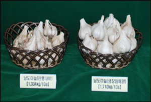 남도에너지 이미지