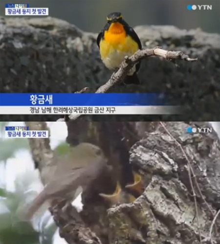 둥지 이미지