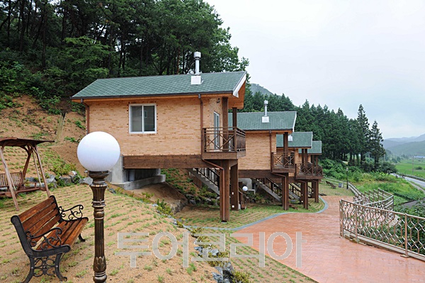 장성편백체험장 이미지