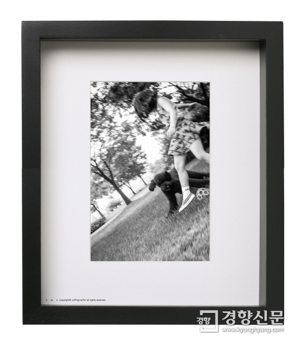 펫토그래퍼 이미지