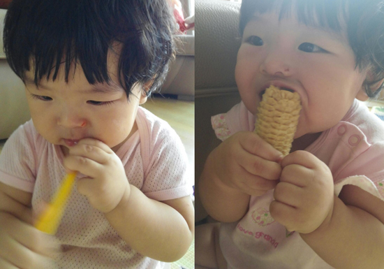 고란 이미지
