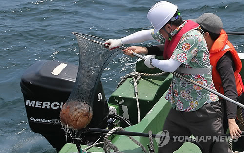 다호소방 이미지