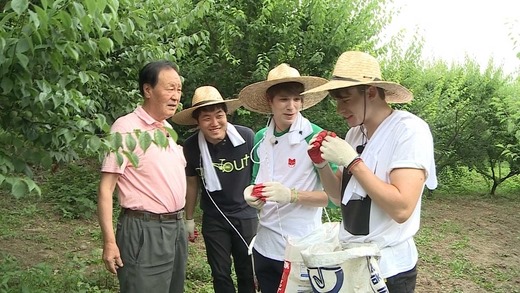 조쉬 이미지
