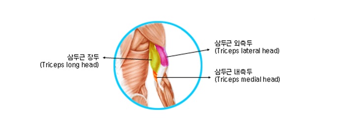 몬스터짐 이미지