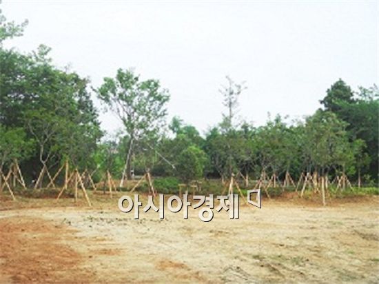완도금일고등학교 이미지