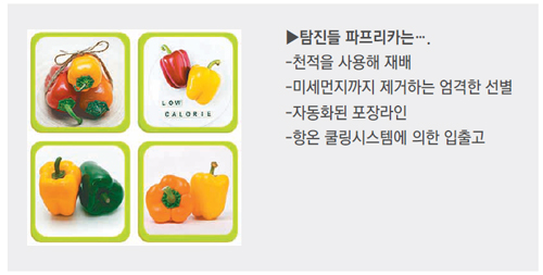 탐진환경 이미지