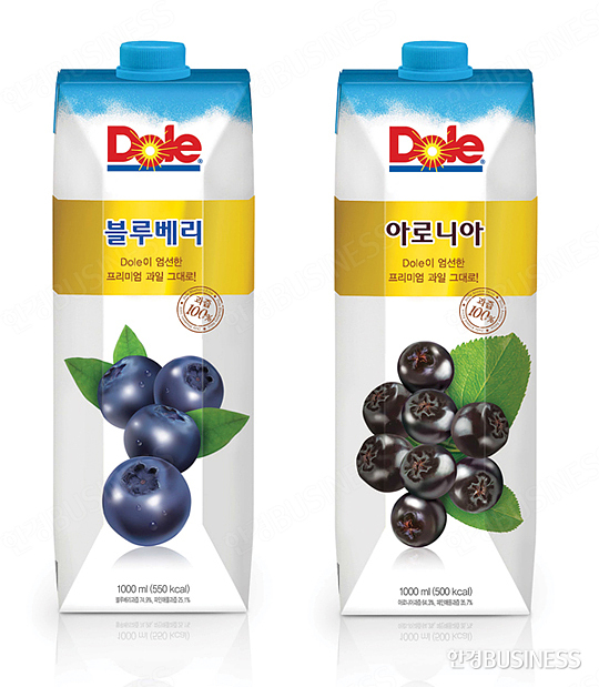 글로벌여행사 이미지